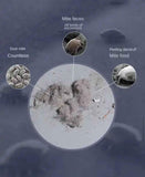 REMOVEDOR DE ACAROS – LIMPIEZA EXTREMA